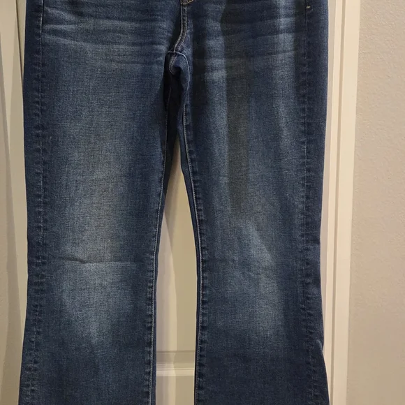 AE Outfitters 10L Kickboot Jeans - Picture 1 of 5